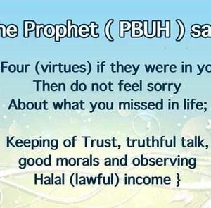 Meet your Posher, Gul e rana